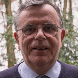 Angelo Vaccari, Speaker at Catalysis Conferences
